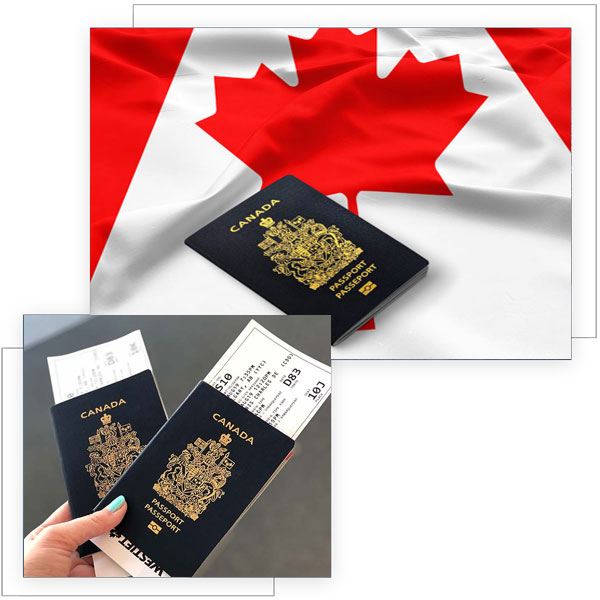 Citizenship Application Consultants in Woodstock, Ontario, Canada, India